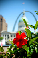 2008.06.01:  Weekend in St Louis